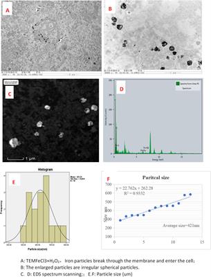 Formation of self-nanoparticles and the immune effect on tumors after injection of ferric chloride with H2O2 under magnetic field therapy